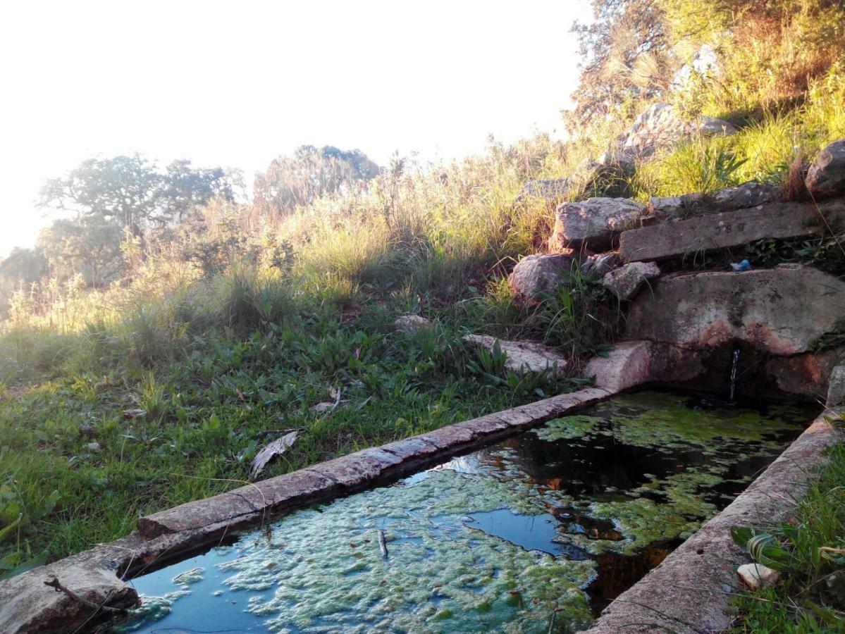 Las Parras Rute Zewnętrze zdjęcie